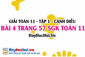 Giải bài 4 trang 57 Toán 11 tập 1 SGK Cánh Diều